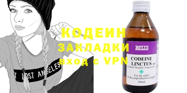 стаф Гатчина