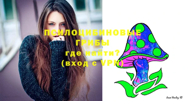 марки nbome Каменногорск
