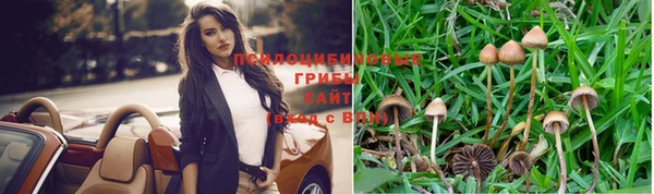 дмт Семёнов