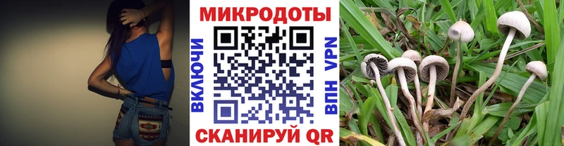 Псилоцибиновые грибы мицелий  нарко площадка телеграм  Каменногорск 